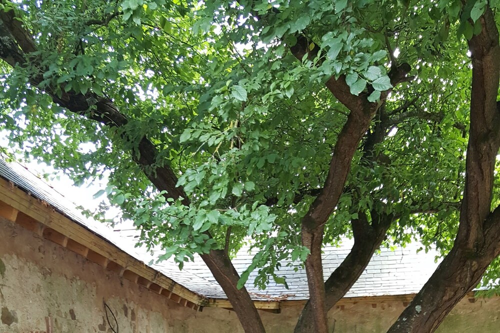 Gite with shaded paved terrace