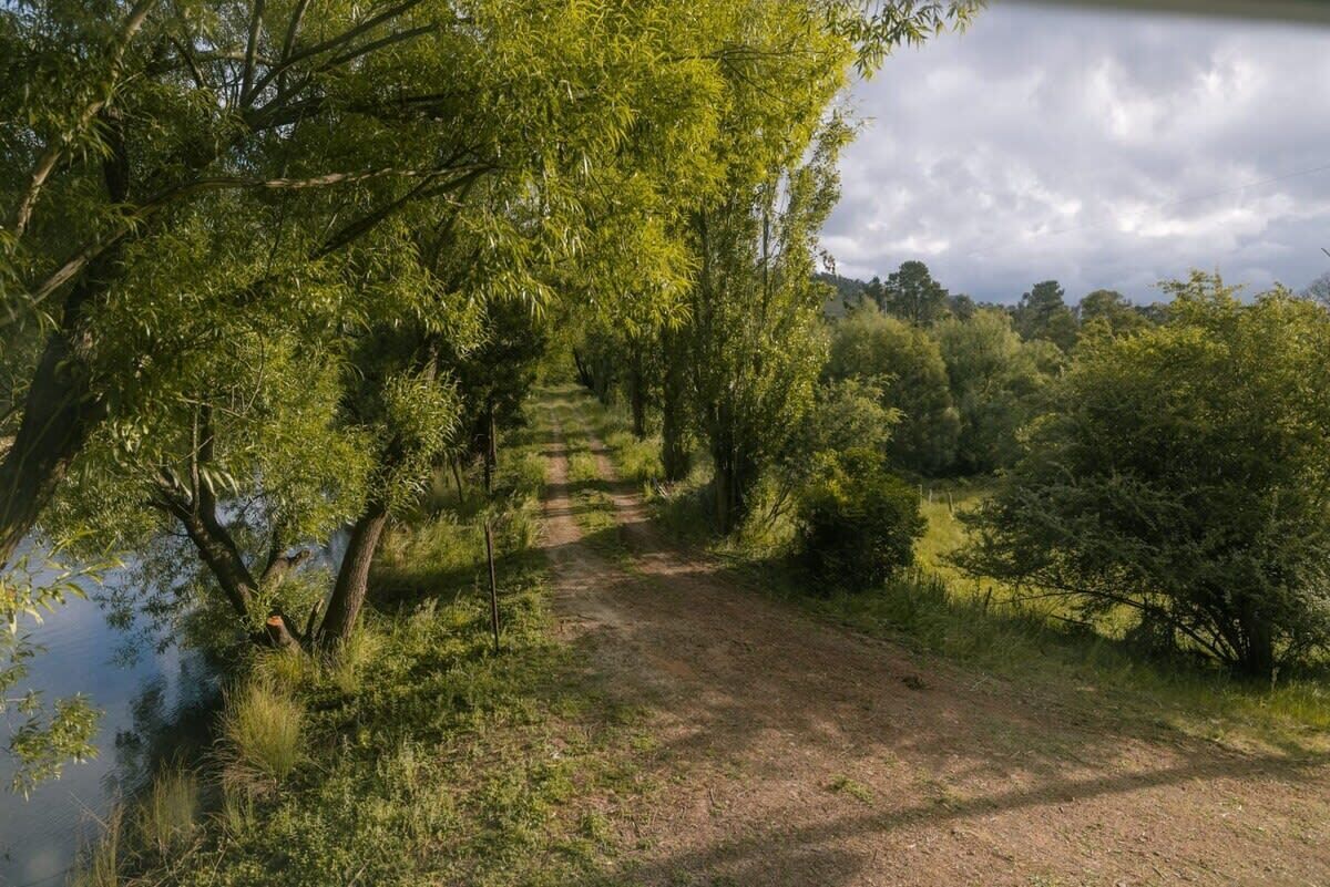 Ein unbefestigter Weg schlängelt sich durch eine üppige, grüne Landschaft mit dichter Vegetation und einem Gewässer an einer Seite.