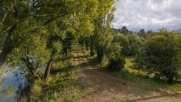 Ein unbefestigter Weg schlängelt sich durch eine üppige, grüne Landschaft mit dichter Vegetation und einem Gewässer an einer Seite.