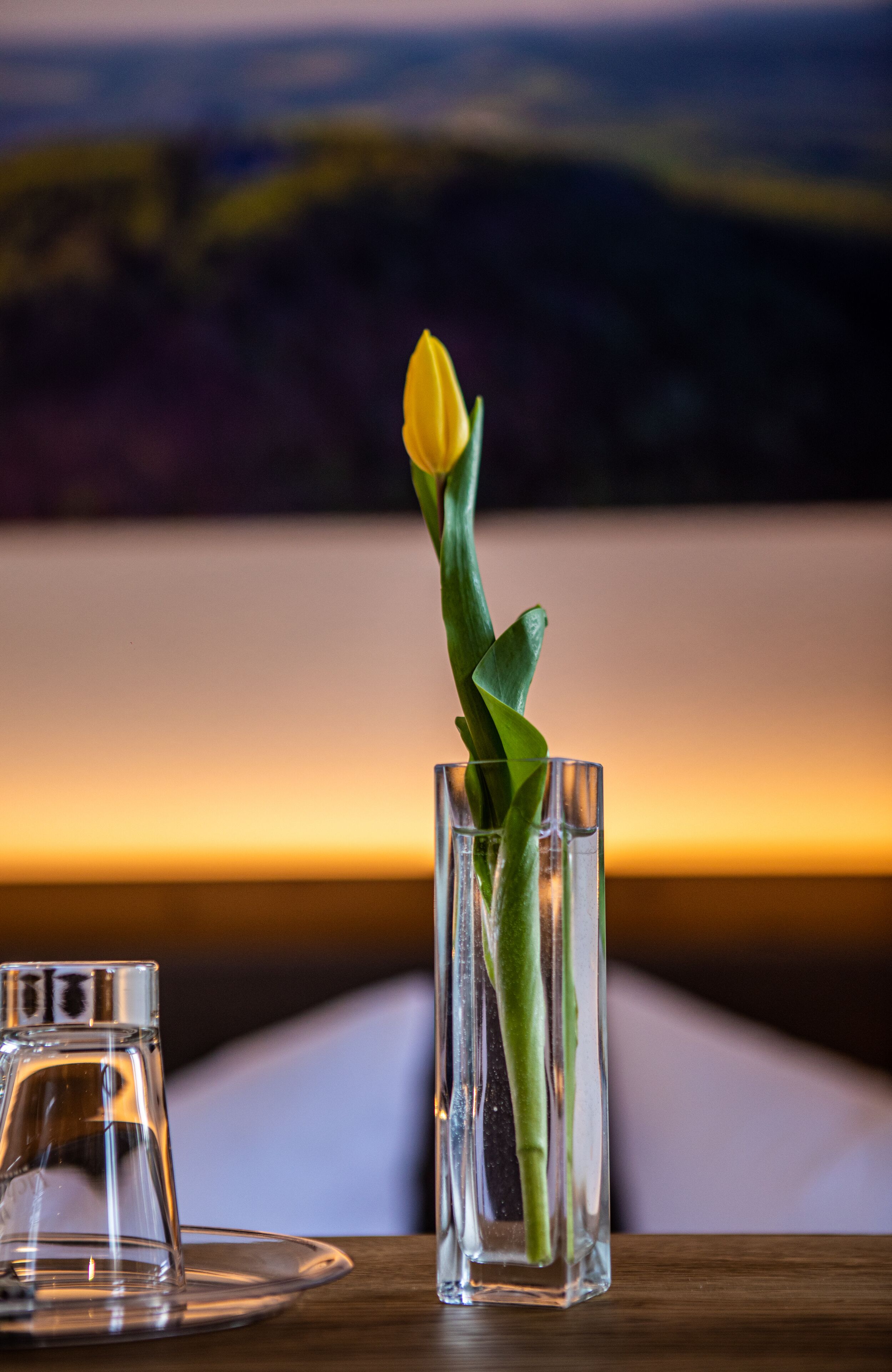 Een glazen vaas met één gele tulp op een houten tafel.