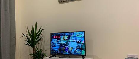 Ett vardagsrum med en platt-TV som visar innehåll från Netflix, en krukväxt och två konstverk som hänger på väggen.