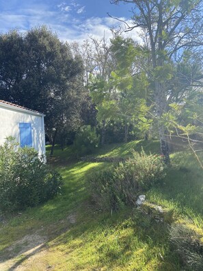 Parco della struttura
