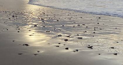 Chaucre, saint georges d'oleron, island of oleron. house 90 m2, beach on foot