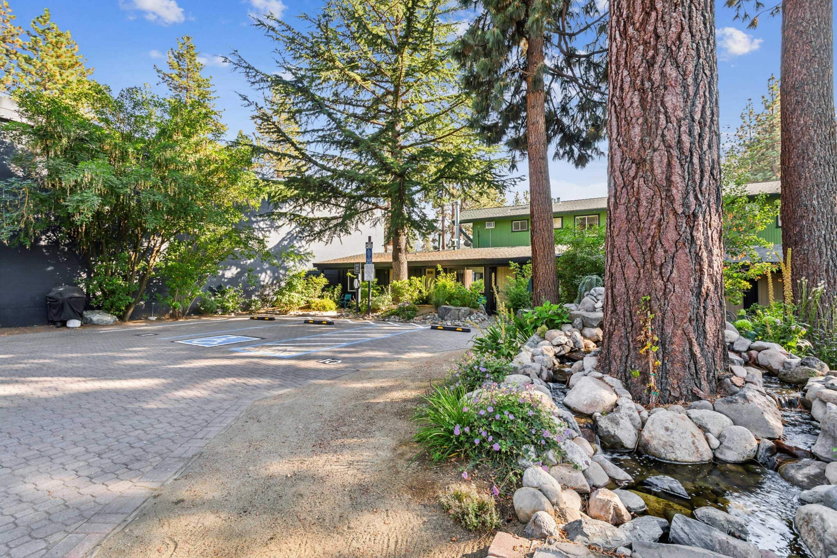 A paved driveway leading to a building with a green roof, surrounded by trees and a small stream with rocks.
