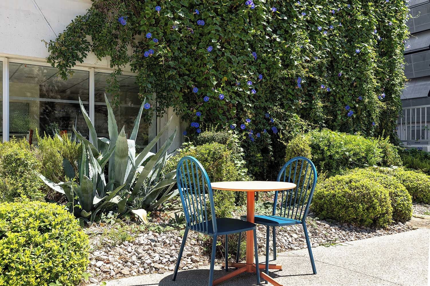 An outdoor seating area with a table and two chairs, surrounded by various plants and a large bush with blue flowers.