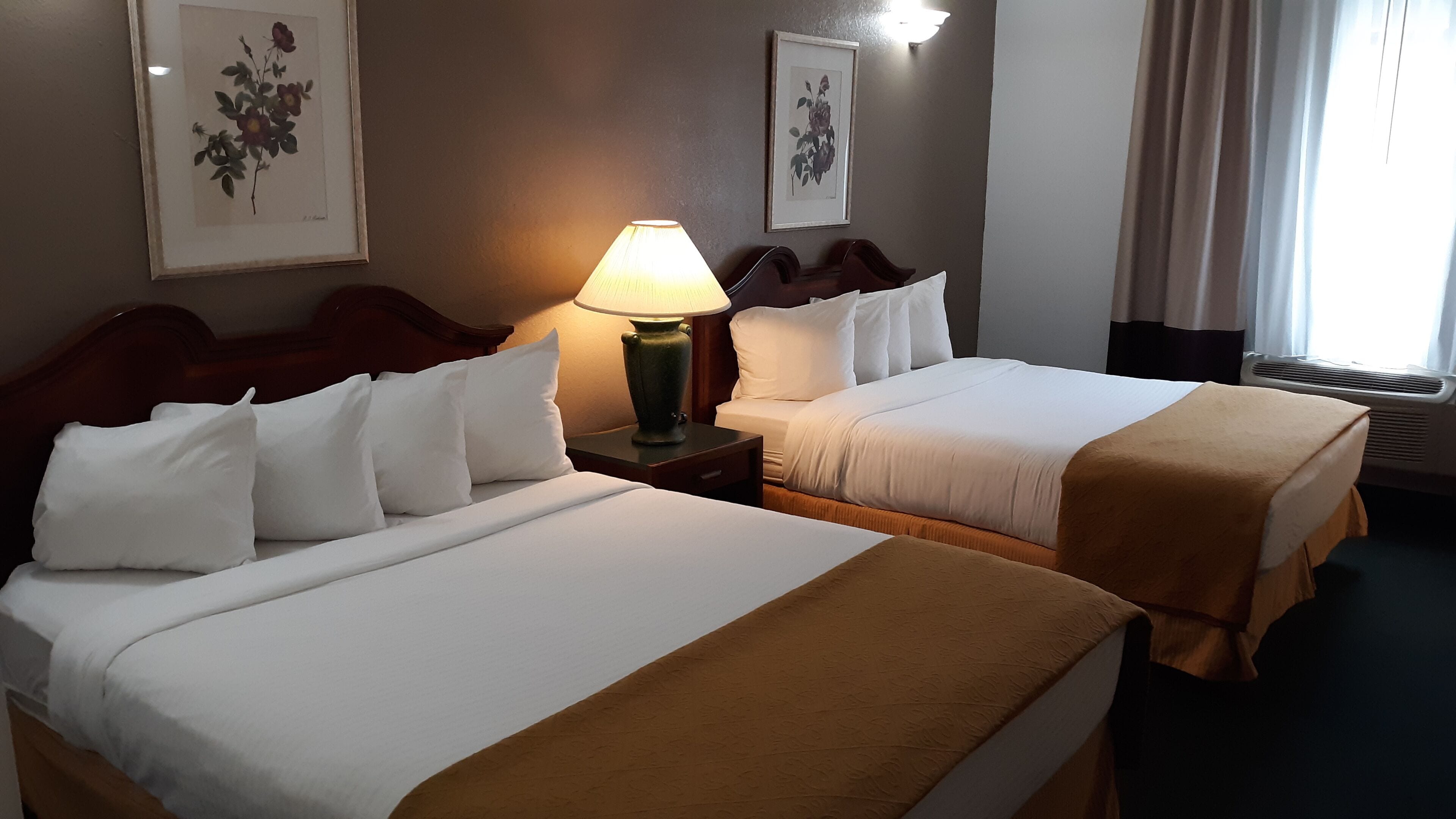 pet room, 2 queen beds | free wifi, bed sheets