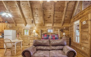 TV, fireplace - Cozy one bedroom studio style cabin (Sevierville)