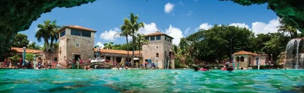 Pool - ❤SPECIAL PROMO❤ Gorgeous Zen Romantic Cottage in idyllic COCONUT GROVE Pets ok (Miami)