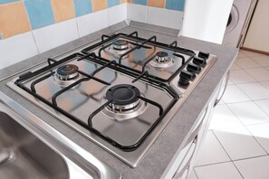 Fridge, stovetop, cookware/dishes/utensils, freezer