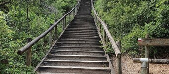 Detached house near beach and forest