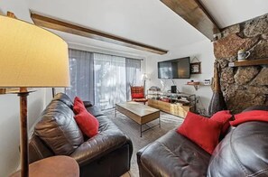 Smart TV, fireplace, books