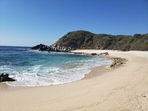 Surf/bodyboard
