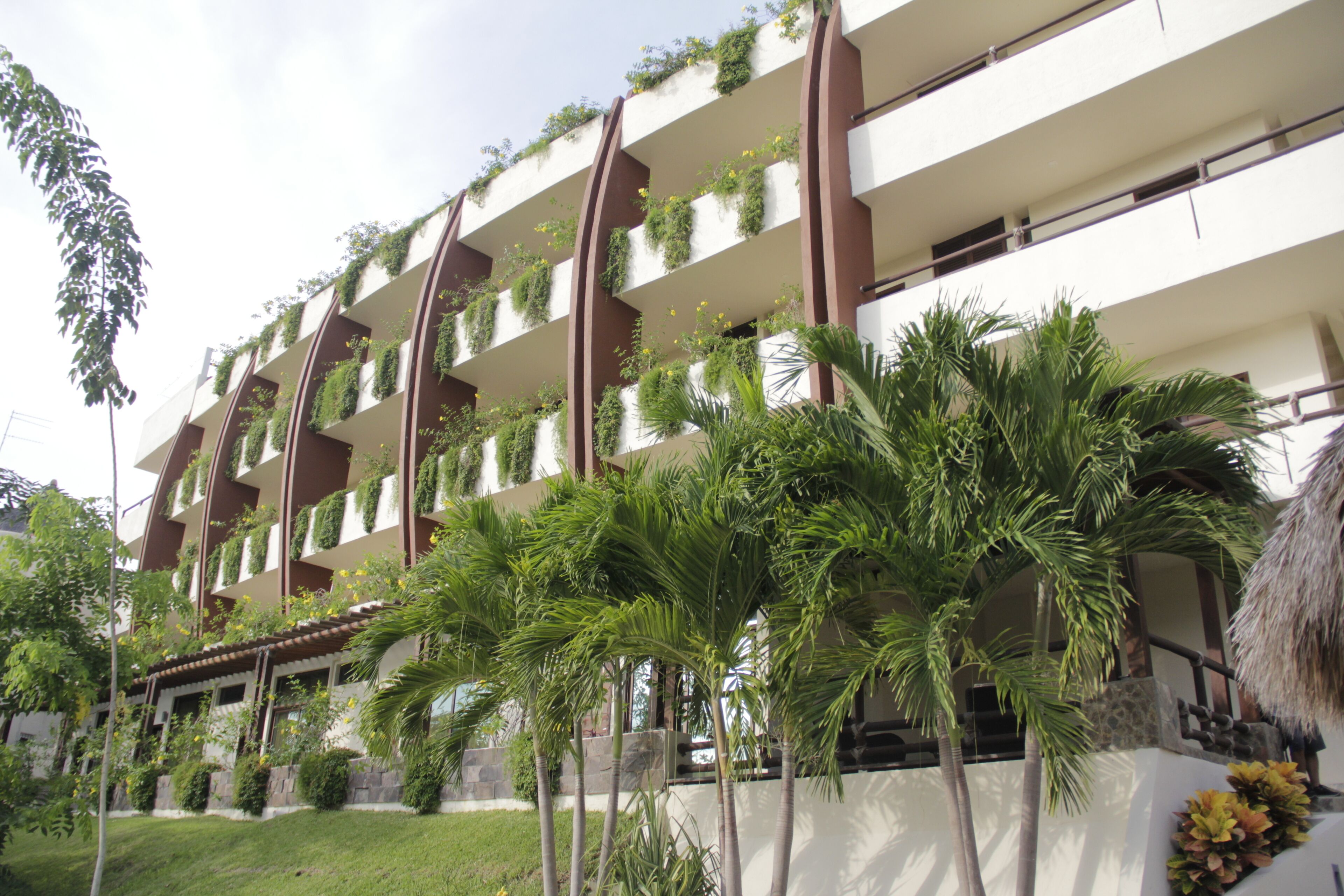 Un hotel de varios pisos con balcones decorados con plantas, rodeado de palmeras y un césped cuidado.