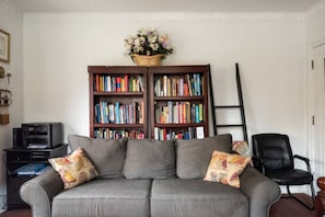 TV, fireplace, books