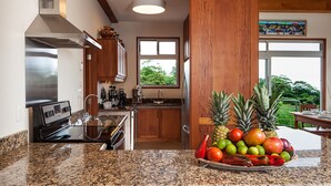A modern kitchen with granite countertops, stainless steel appliances, wooden cabinets, and a large window offering a view of greenery. - Arenal-Area Jungle Lodge — Pool Access, 5BR/6.5BA, Sleeps 20 (Cabanga)