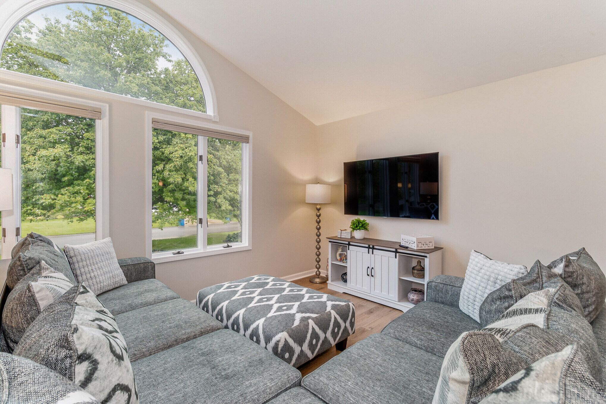 Smart TV, fireplace, video games, DVD player