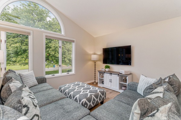 Smart TV, fireplace, video games, DVD player