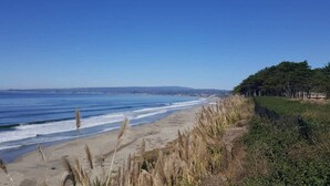 A beach with clear skies, sandy shore, and sparse vegetation.