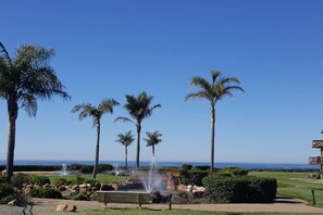 Property grounds - Amazing Ocean Views! Seascape Resort-2br (Aptos)