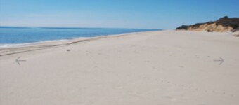 Cozy sun drenched beach cottage private beach, walk to town, hot tub