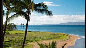 A beach view with palm trees and a clear sky.