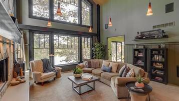 Televisión, chimenea, reproductor de DVD y libros