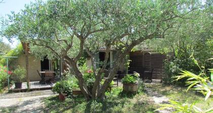 Gite des Oliviers a 500 m des Cascades du Sautadet