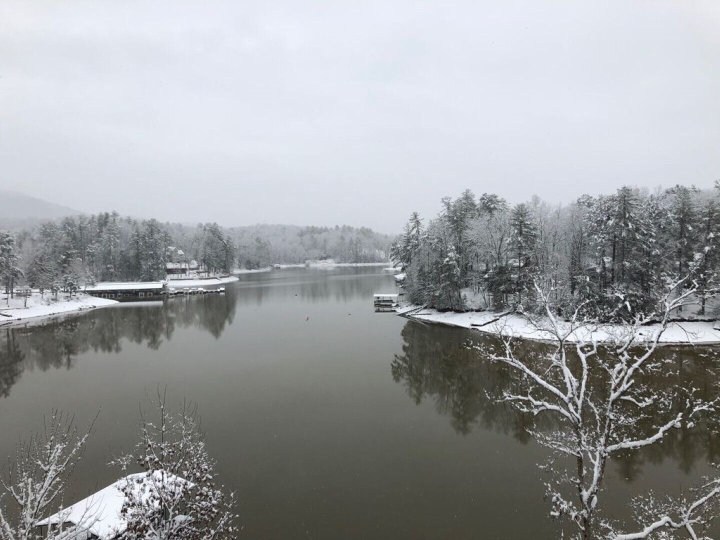 منوع