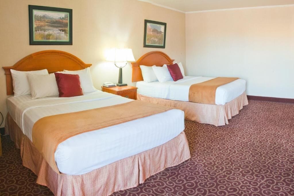 Une chambre d’hôtel avec deux lits, chacun doté d’une tête de lit en bois, de draps blancs et d’une couvre-lit marron. Il y a deux tables de chevet avec des lampes, et la chambre est recouverte d’un tapis à motifs.
