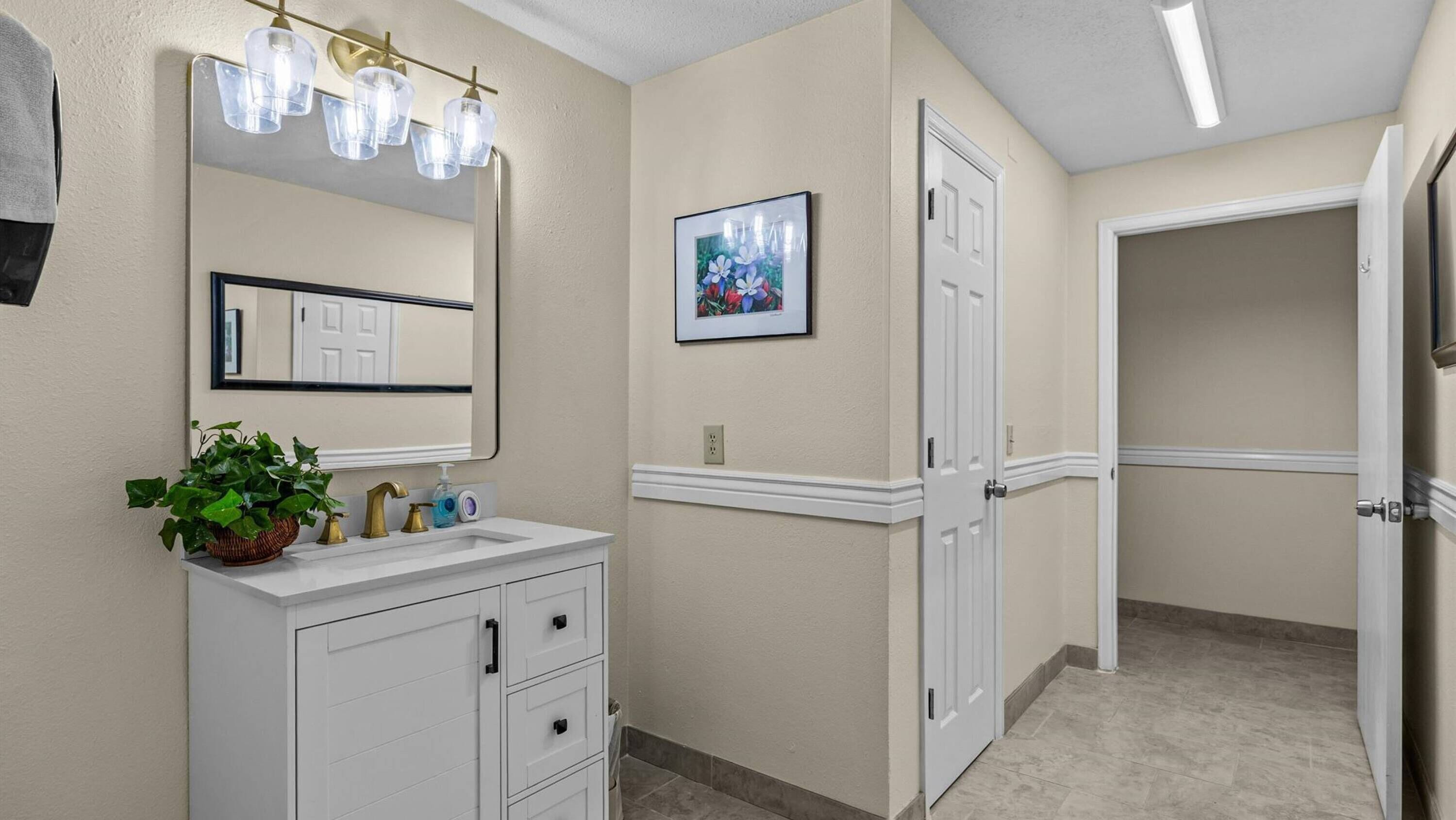 A bathroom with a white vanity, a mirror, a potted plant, a framed picture, and a door leading to another room.