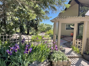 A garden with purple flowers and a wooden fence.