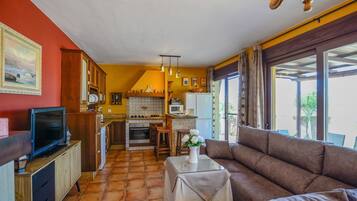 Een televisie en een open haard