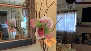 A potted orchid with a tag on the table in a living room. - Walk  to beach & 7 restaurants.  Our 1950’s 3 bed & 2 bath cottage is fantastic! (St. Simons)