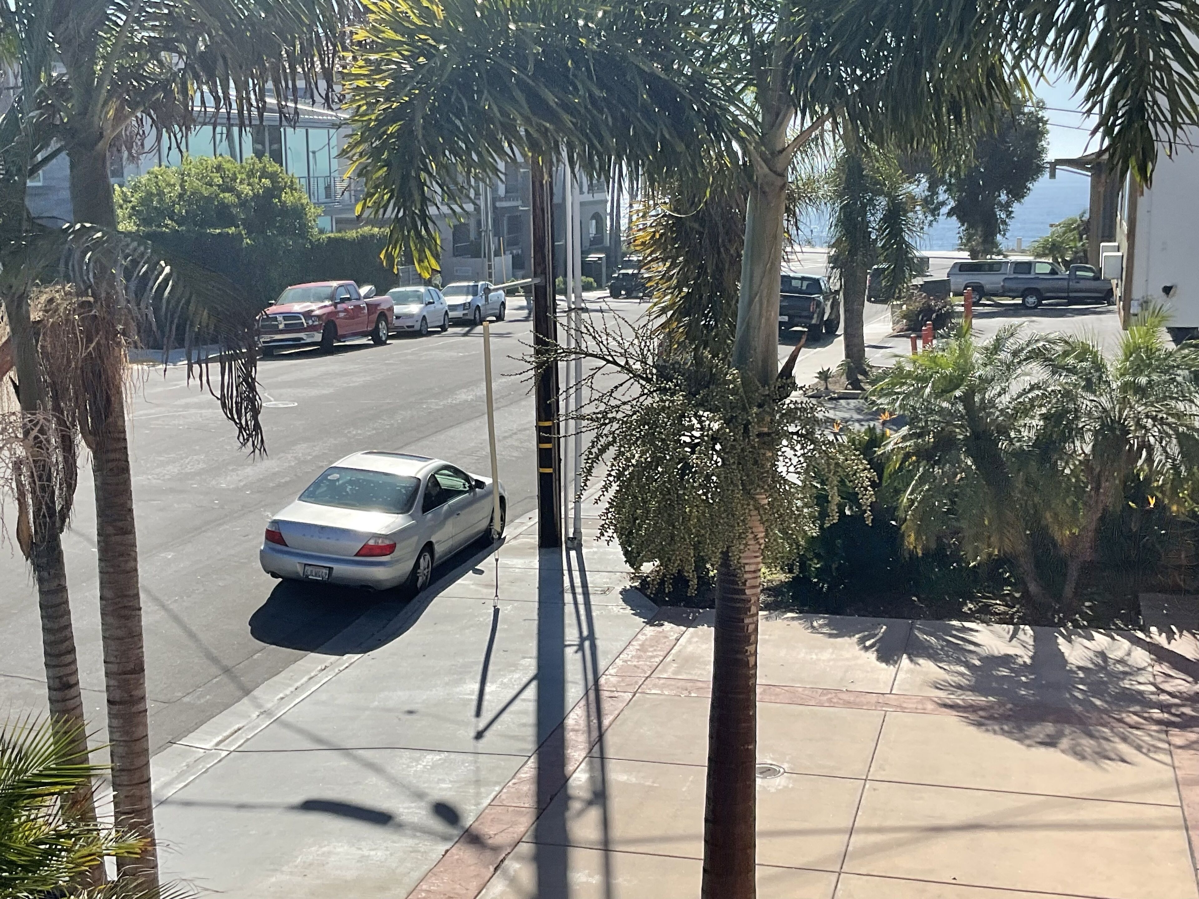 Vista de la calle con coches aparcados, palmeras y un edificio al fondo.