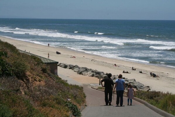 Sun-loungers, beach towels