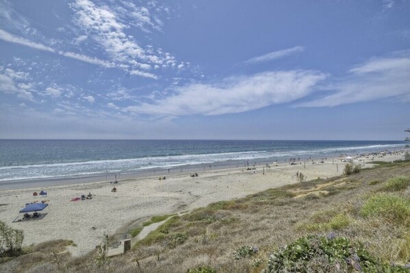 Camastros y toallas de playa 