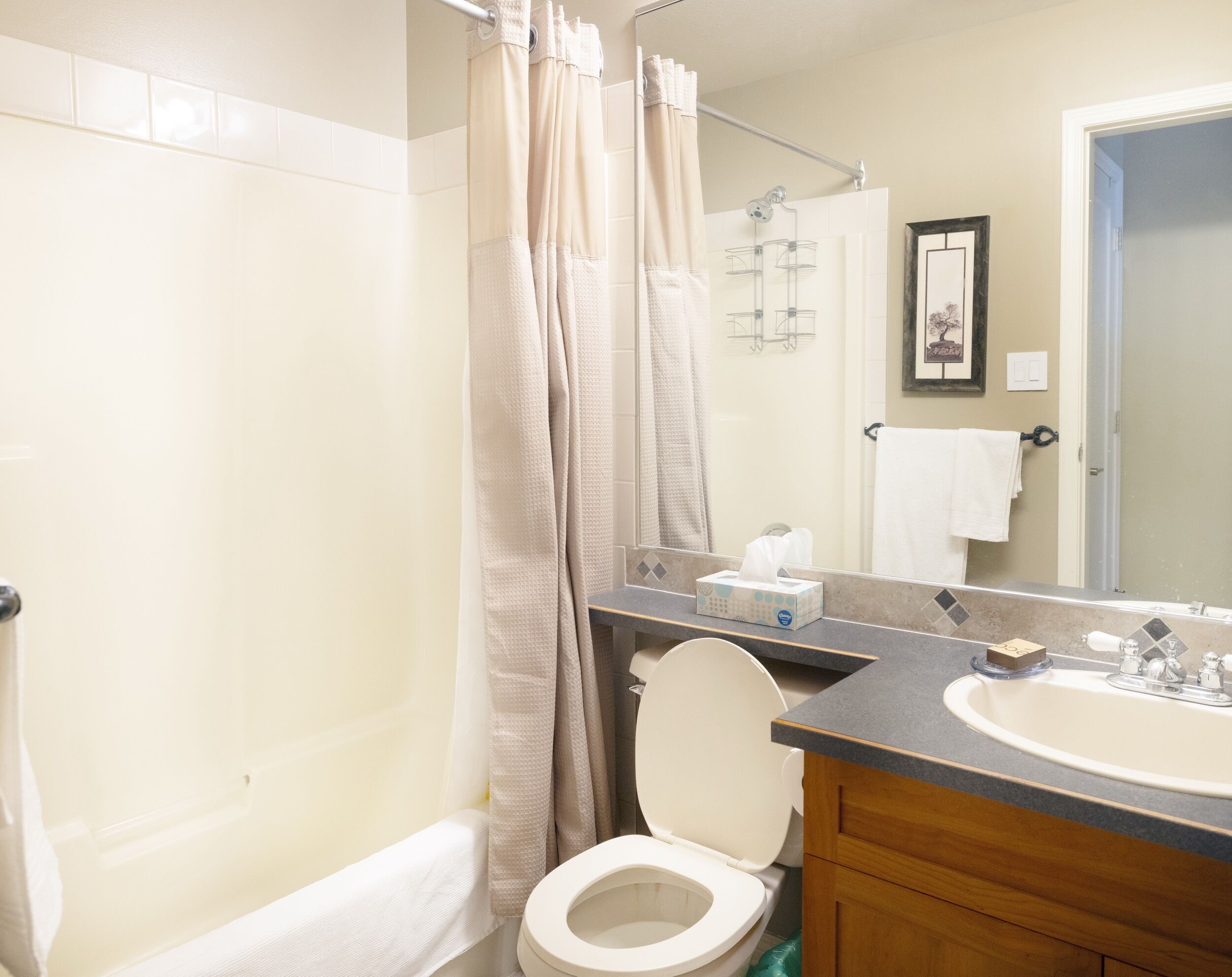 A bathroom with a shower, toilet, sink, and a mirror.