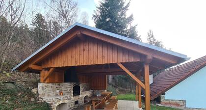 Kralovice by Interhome