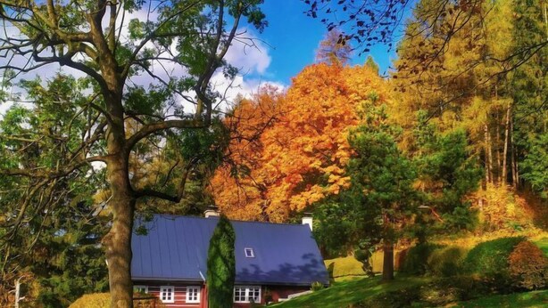 Une maison avec un toit sombre, entourée d’une végétation luxuriante et d’arbres aux feuilles d’automne.
