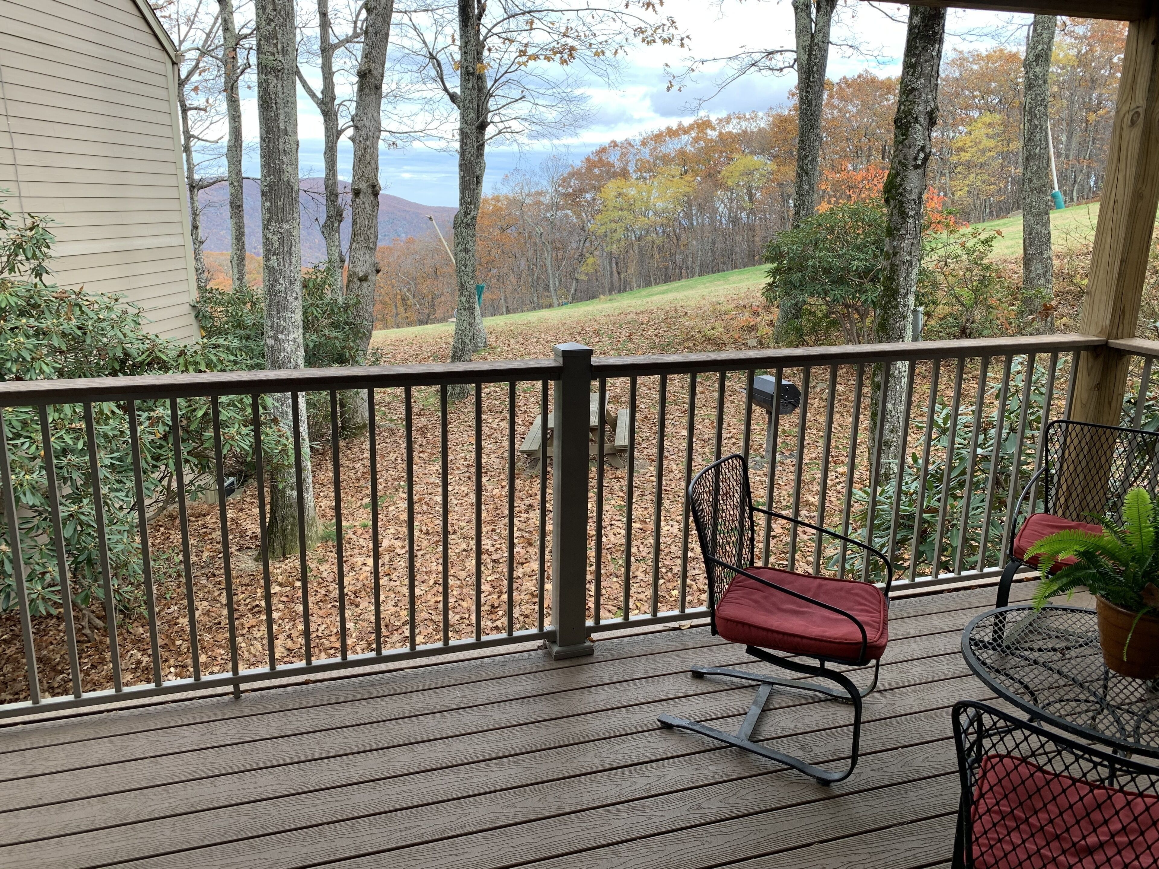 A wooden deck with a metal railing, a rocking chair, and a table with a potted plant.
