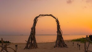 A beach with a natural archway made of branches, surrounded by sand and a calm sea.