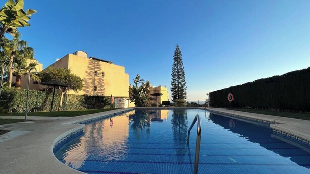 A swimming pool with clear blue water, surrounded by a paved area, palm trees, and buildings in the background.