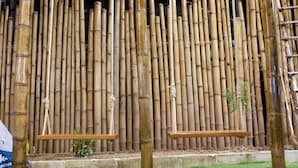 A bamboo structure with ropes and a wooden platform.