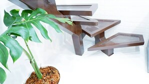 A modern staircase with a minimalist design, a potted plant, and a white wall in the background.