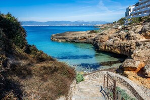 Niet-geclassificeerde afbeelding, 3 van 28, knop