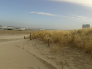 Ubicación cercana a la playa