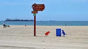 Beach nearby, sun loungers