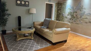 Smart TV, books, video library