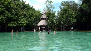 A swimming pool surrounded by lush greenery and a thatched-roof structure. - Swiss Chalet Garden Pool Resort (Krabi)