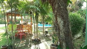 A garden area with a wooden bench, potted plants, and a tree trunk. - Swiss Chalet Garden Pool Resort (Krabi)